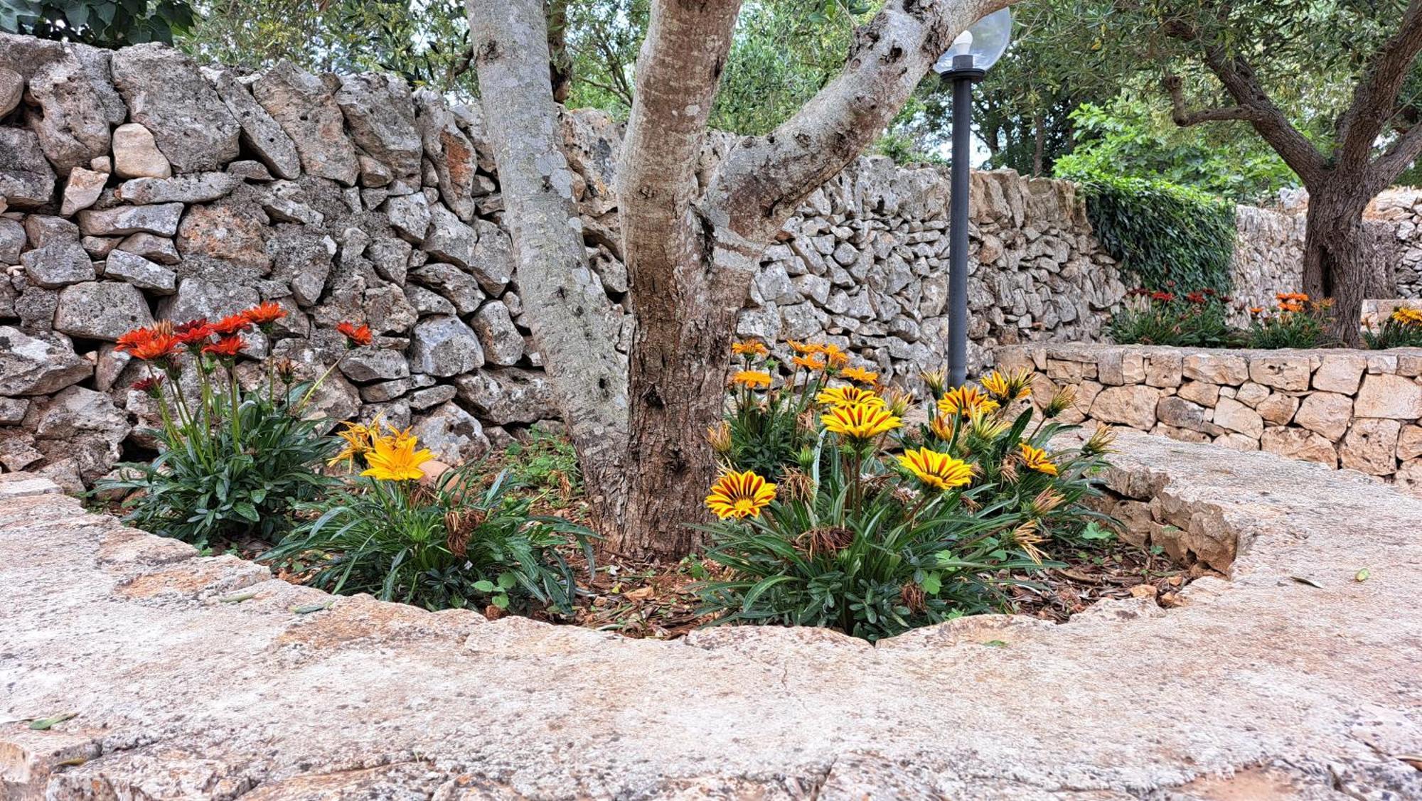 Casolare Di Puglia Villa Noci Exterior photo